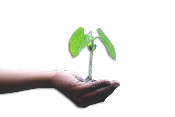 pexels akilmazumder 1072824 removebg preview