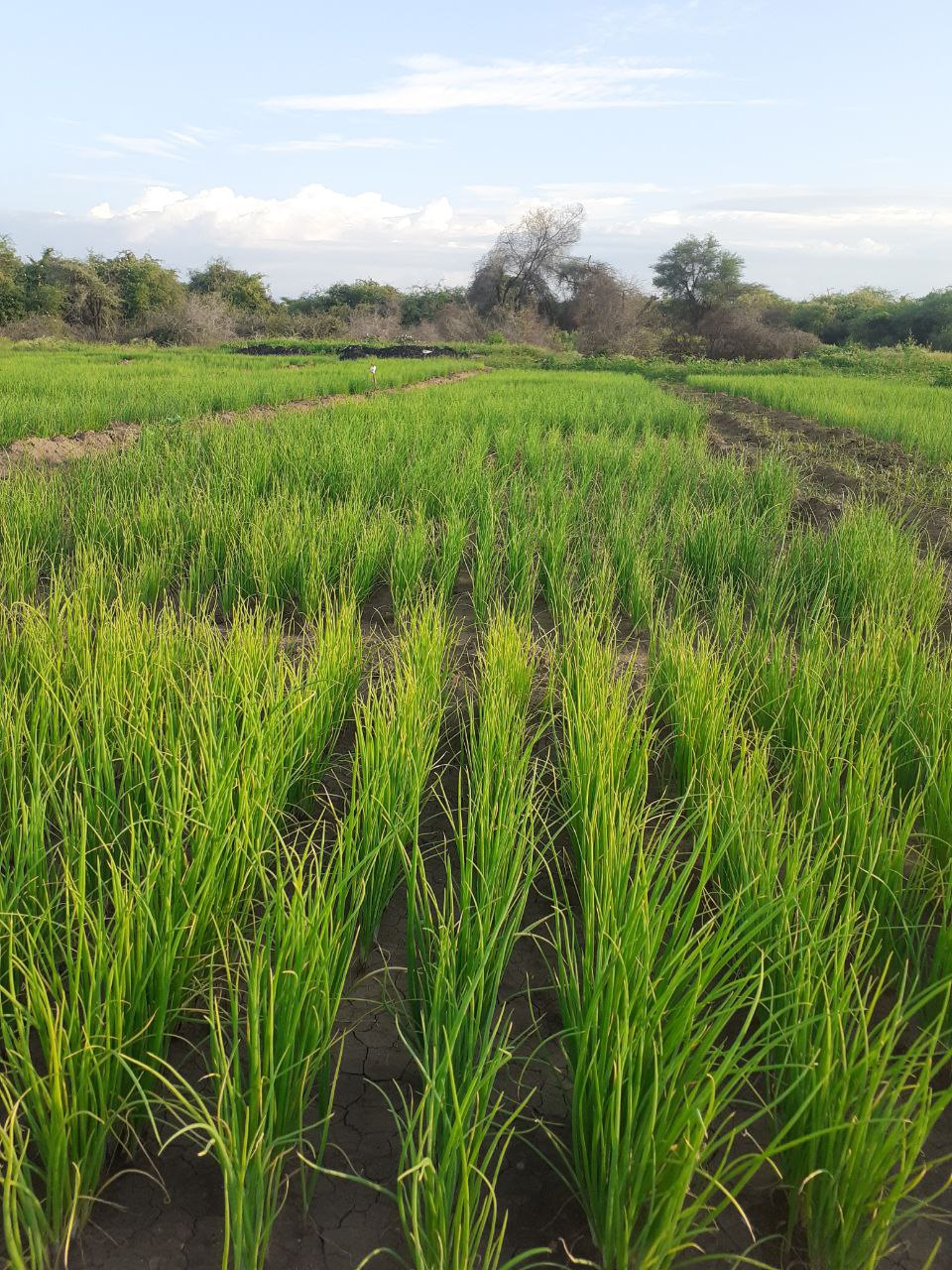 photo 2024 08 30 20 11 04